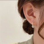 Load image into Gallery viewer, Rhinestone Ball Earrings
